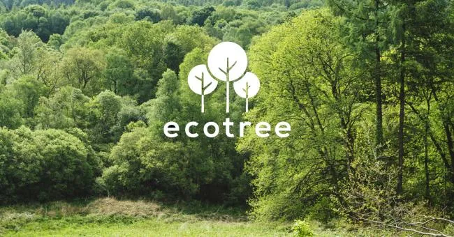 Nous plantons des arbres avec EcoTree!