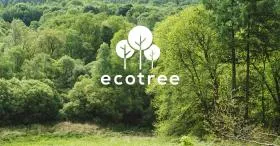 Nous plantons des arbres avec EcoTree!