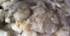 La laine de mouton absorbe les formaldéhydes et autres COV (Composés Organiques Volatils)