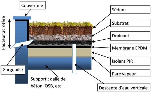 Mise en uvre daposune bache EPDM pour votre toiture vgtalise