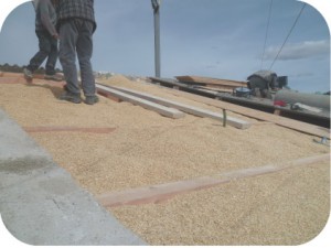 Bale de petit épeautre en vrac