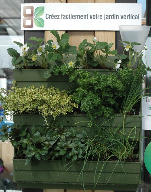 Bac à planter : la brique verte - Végétaux pour murs végétalisés Bac à planter : la brique verte - Végétaux pour murs végétalisés